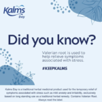 Kalms Day - 96 Tablets - Image 2