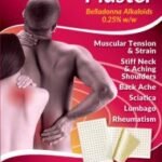 Belladonna Plaster Small 2 Pack - 12.5cm x 9.5cm